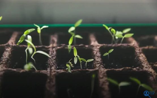 How Companies Can Support Diversity: Effective Strategies