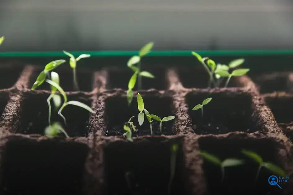 How Companies Can Support Diversity: Effective Strategies